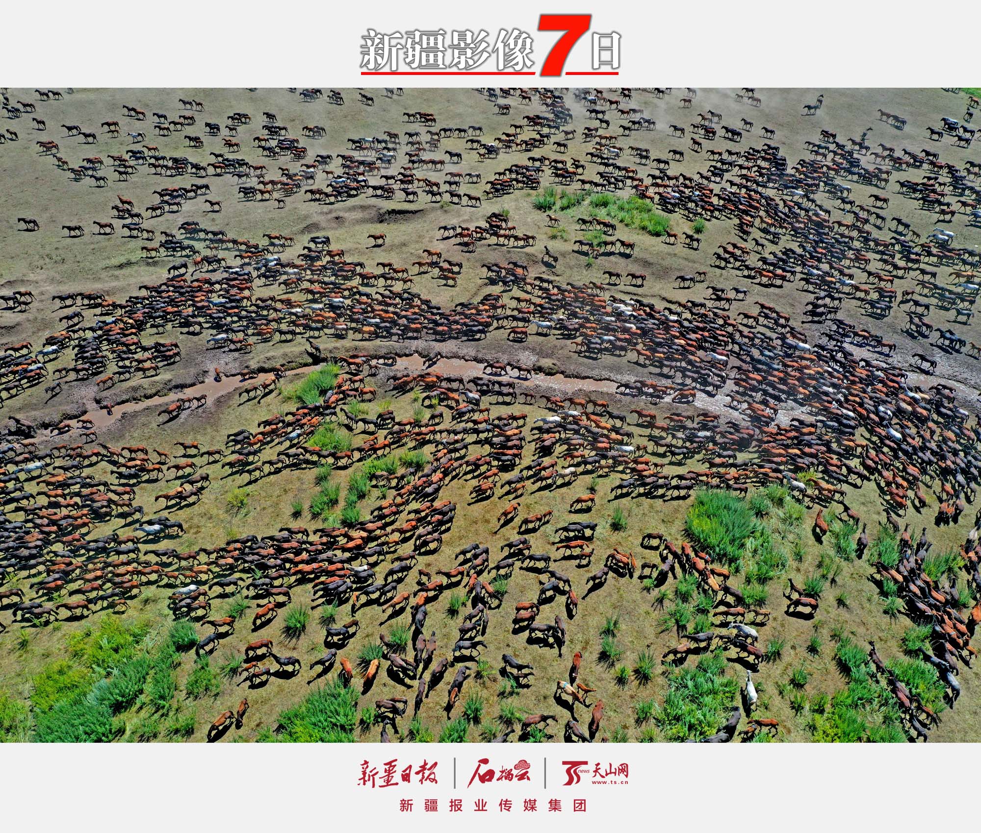 7月16日，第三十屆中國(guó)新疆伊犁天馬國(guó)際旅游節(jié)在昭蘇縣卡爾坎特大草原上開幕。此屆天馬節(jié)以“策馬相約三十載 攜手喜迎二十大”為主題，彰顯天馬文化、弘揚(yáng)時(shí)代精神，推動(dòng)昭蘇縣作為國(guó)家全域旅游示范區(qū)建設(shè)的戰(zhàn)略升級(jí)。李文武攝