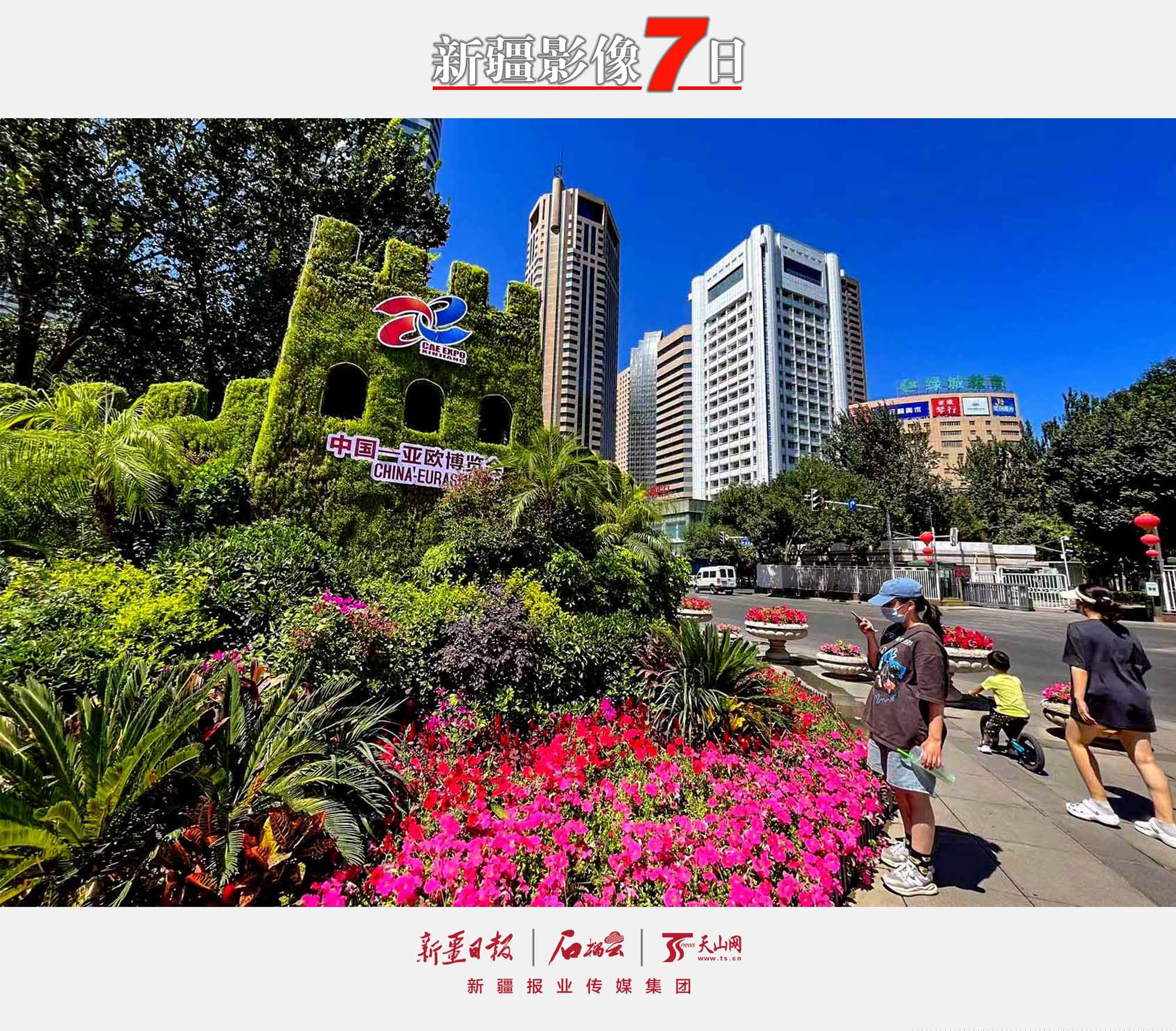 8月7日，市民在烏魯木齊人民廣場的第七屆中國—亞歐博覽會主題花壇前拍照。隨著第七屆中國—亞歐博覽會的臨近，烏魯木齊市各主要路口擺放了以第七屆中國—亞歐博覽會為主題的鮮花花壇，成為一道美麗的風景線。石榴云/新疆日報記者 約提克爾·尼加提攝