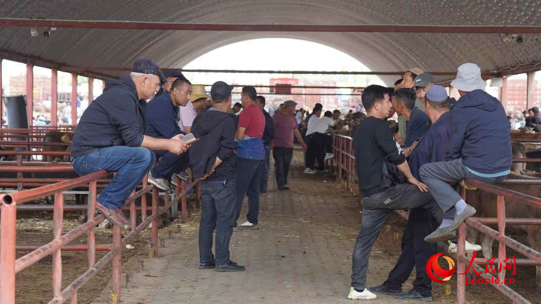 黃公巴扎的活畜交易區(qū)。人民網 李龍攝